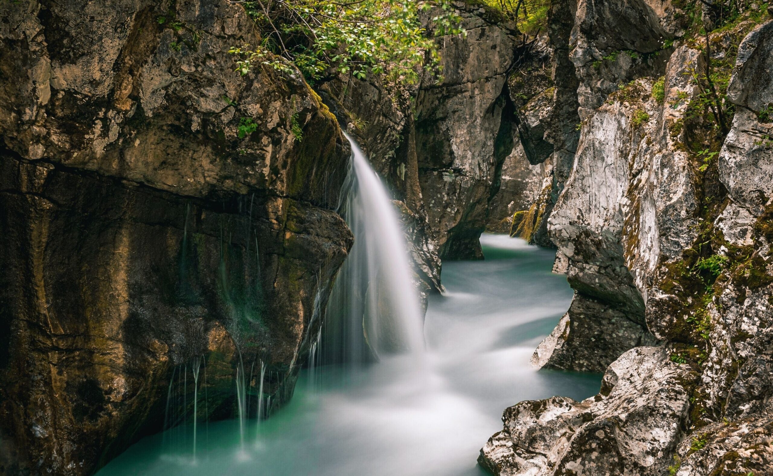 Vegetación alpina y terrazas rocosas sobre el río Soča
