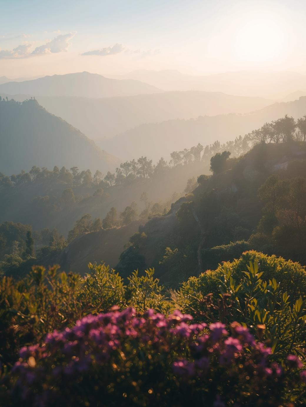 Respect nature in hidden places