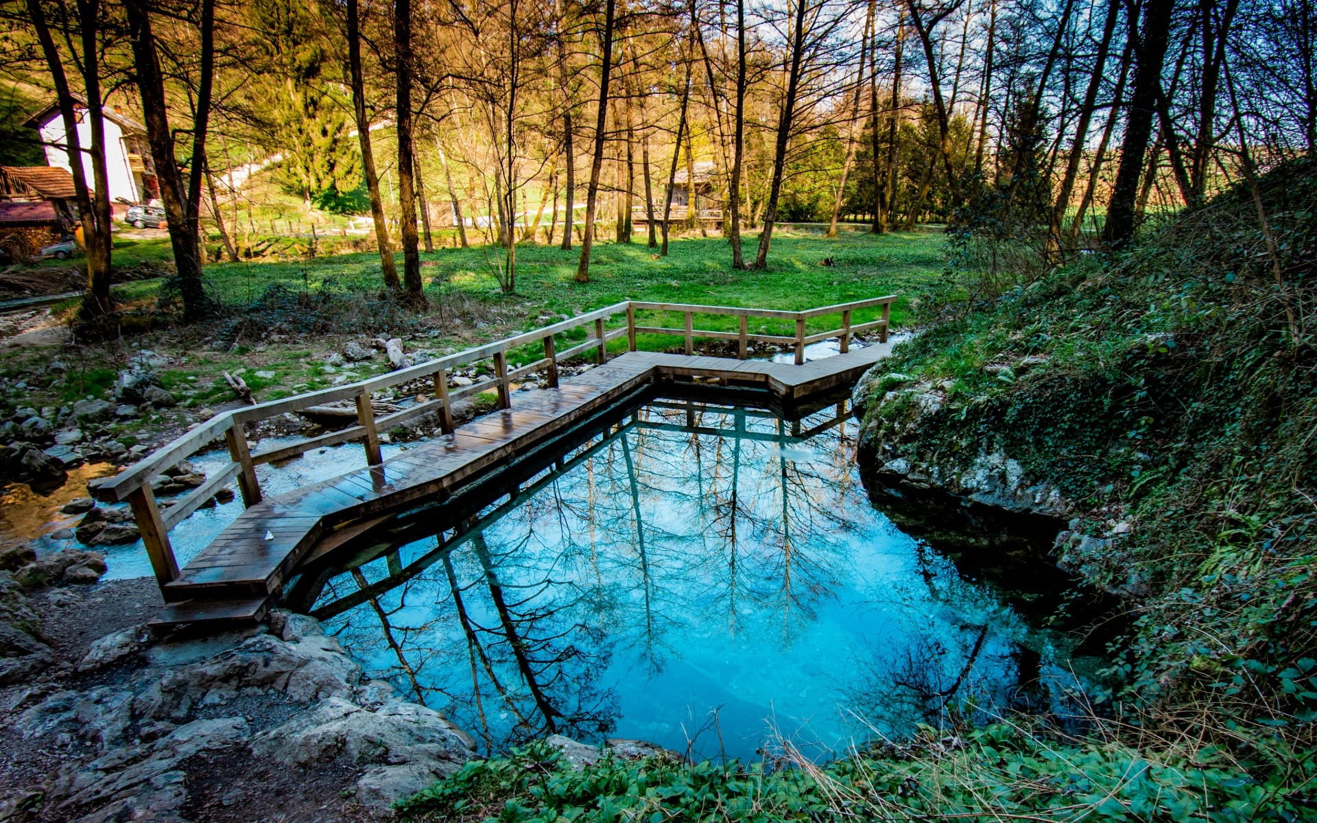 Natural blue mineral spring pool in a forest with a wooden boardwalk