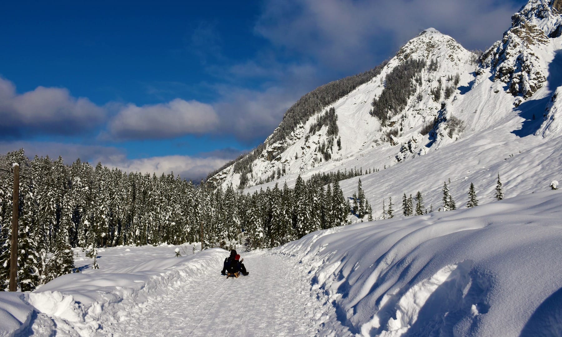Person sledding down a snow-covered forest trail with mountains in the background