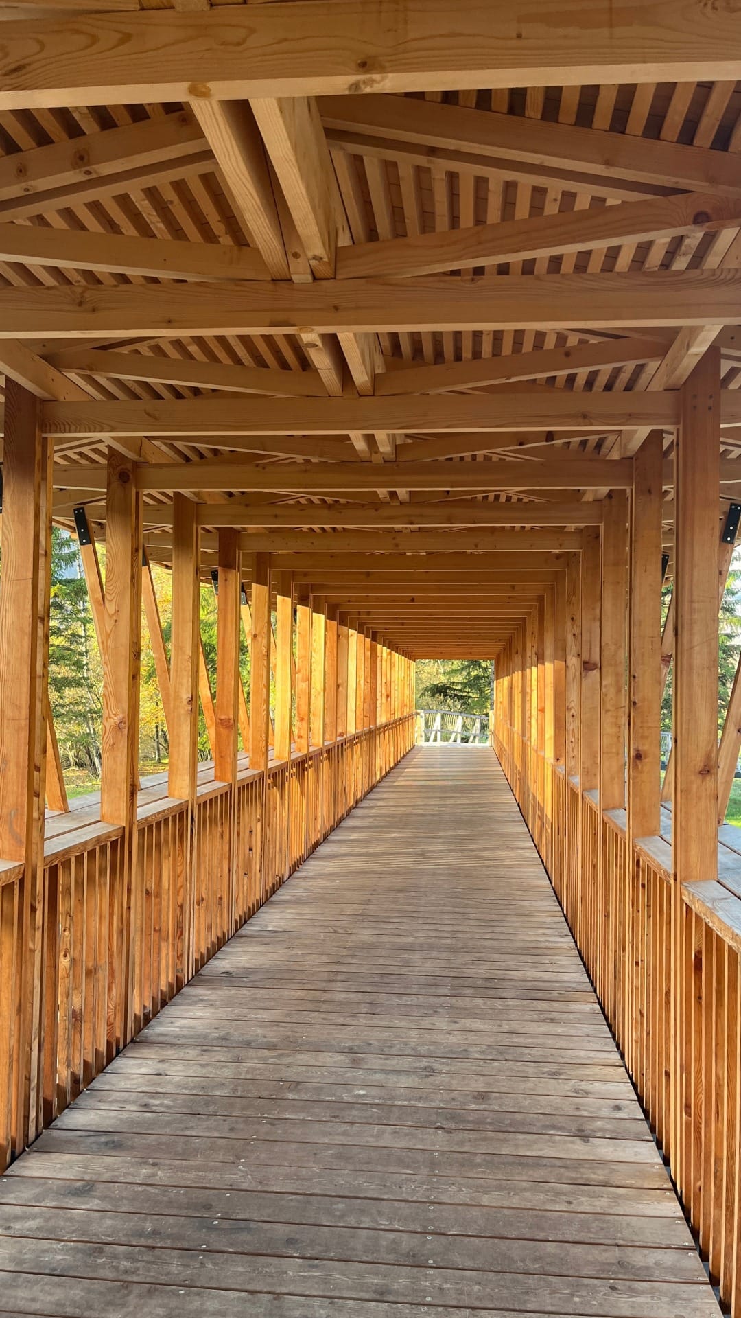 New covered wooden bridge structure built for the Bled-Bohinj cycling path