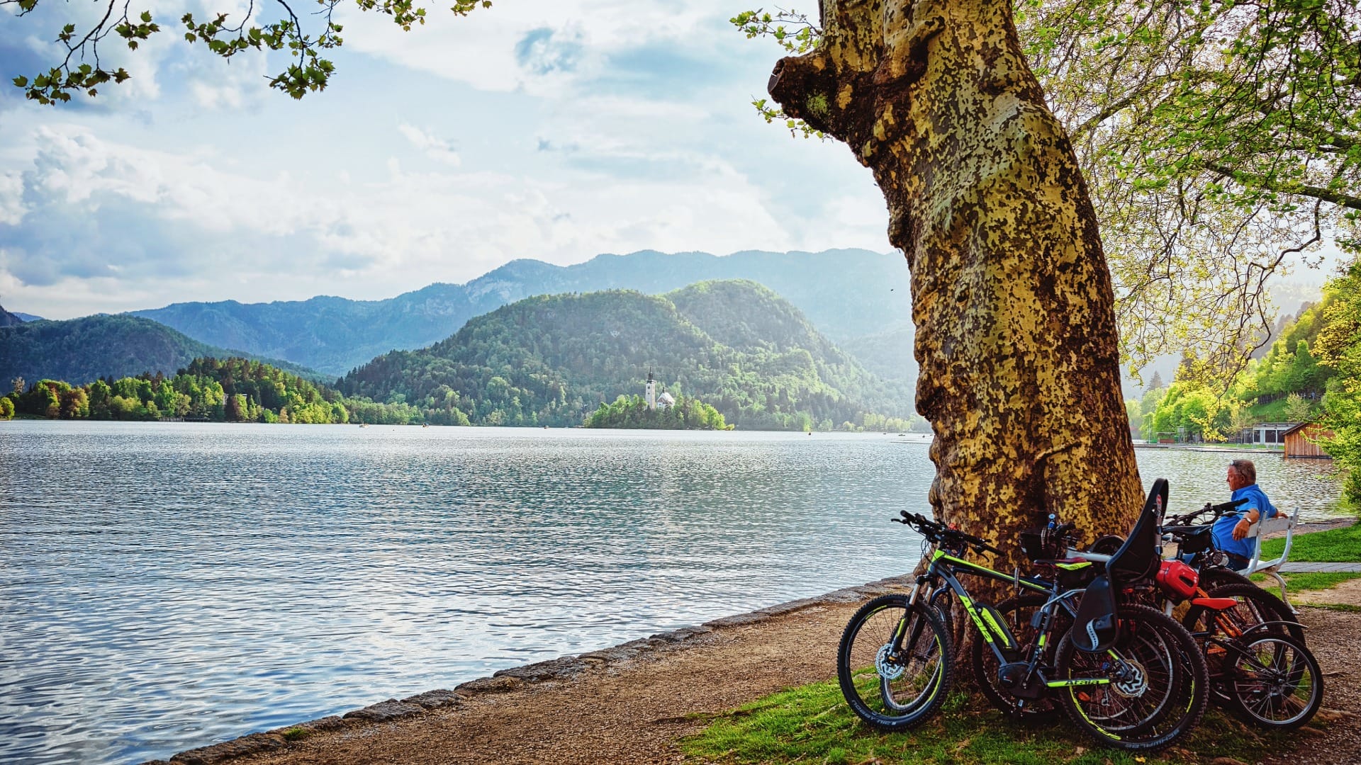 Bicycles resting under a tree on the Lake Bled shore with the island church across the water