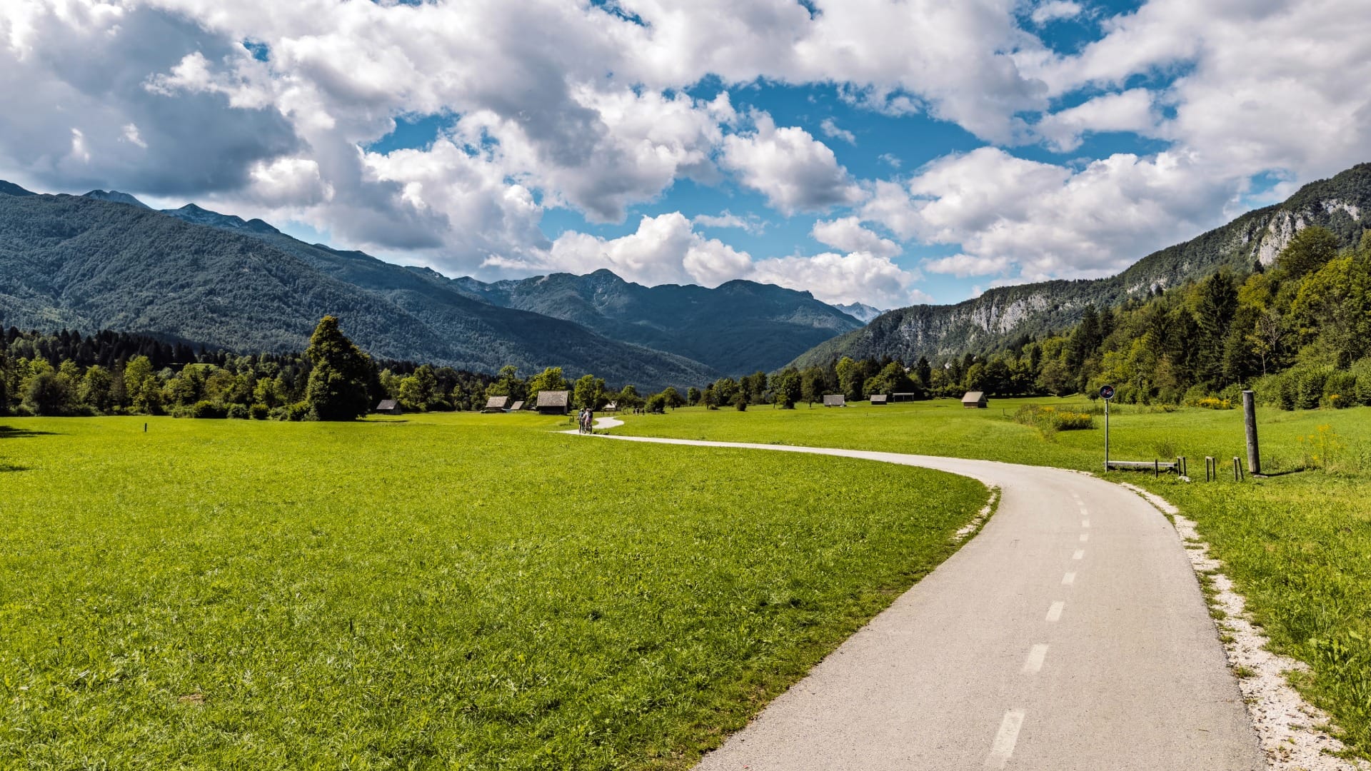 The new paved Bled-Bohinj cycling path winding through open meadows in the Bohinj valley