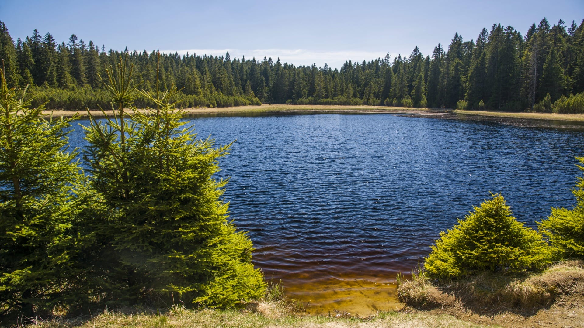 Amber-tinted shoreline of Crno jezero