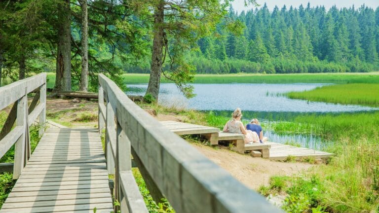 Wooden boardwalk leading to a sitting area on the shore of Crno jezero, Pohorje