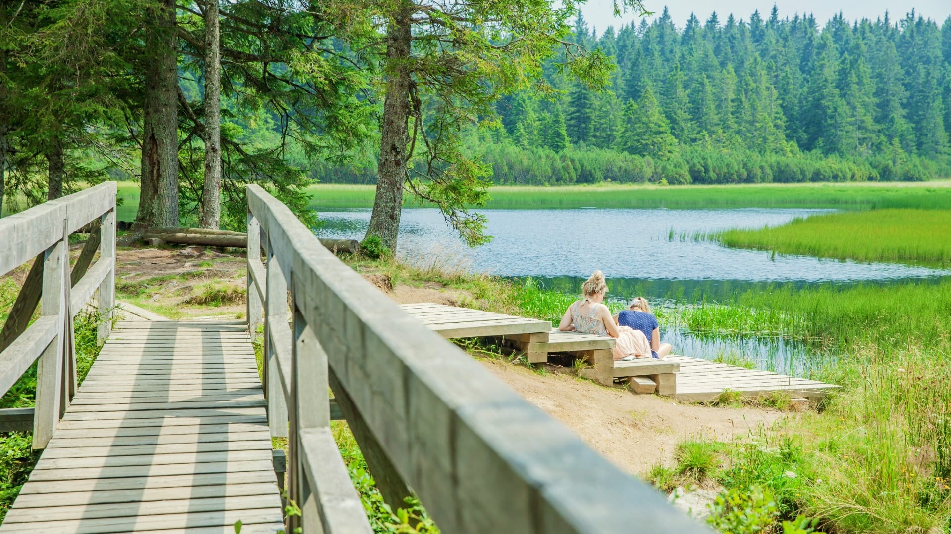 Črno jezero (Black Lake) Trail from Trije Kralji