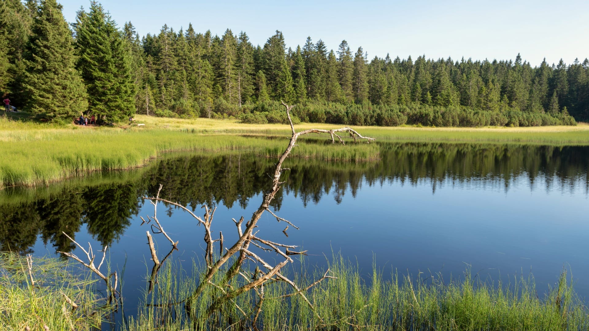 Still dark water of Crno jezero
