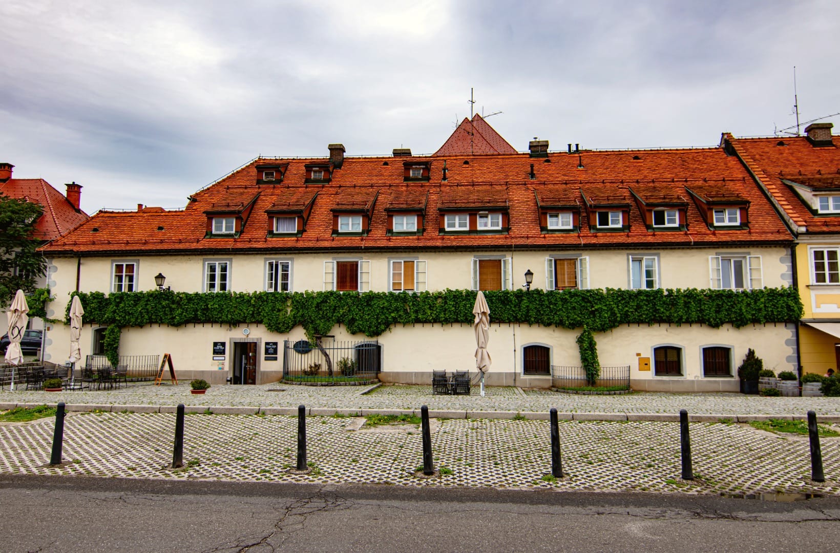 The Old Vine House on the Lent embankment in Maribor, with the world's oldest grapevine trained along its facade