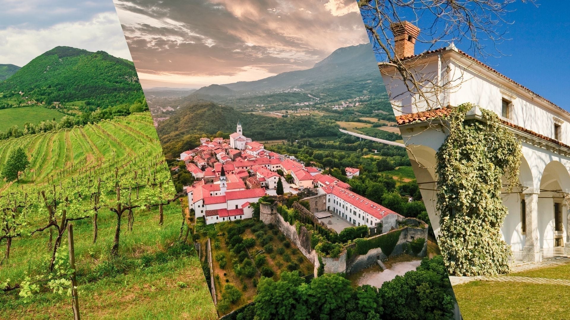 Ajdovščina to Vipavski Križ — a Slow Vipava Valley Food & Wine Day