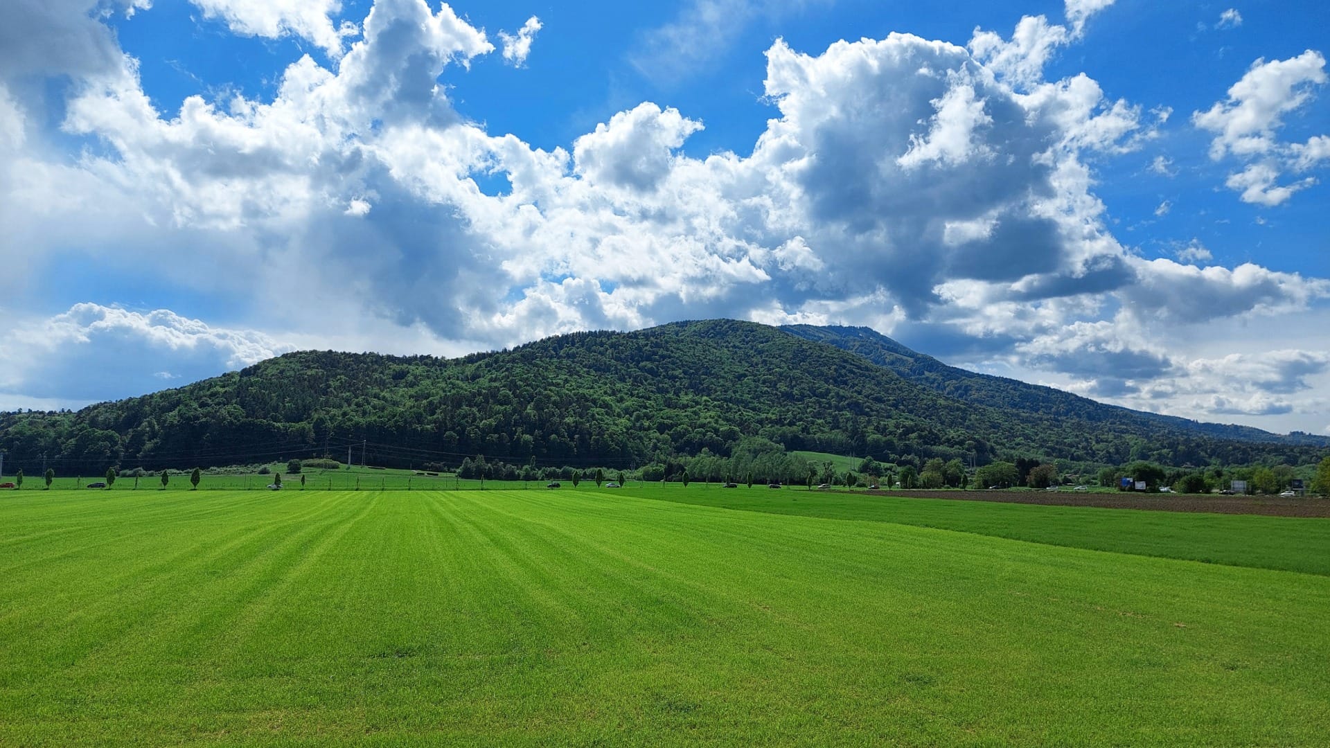 The forested Mariborsko Pohorje massif seen from the valley near Habakuk