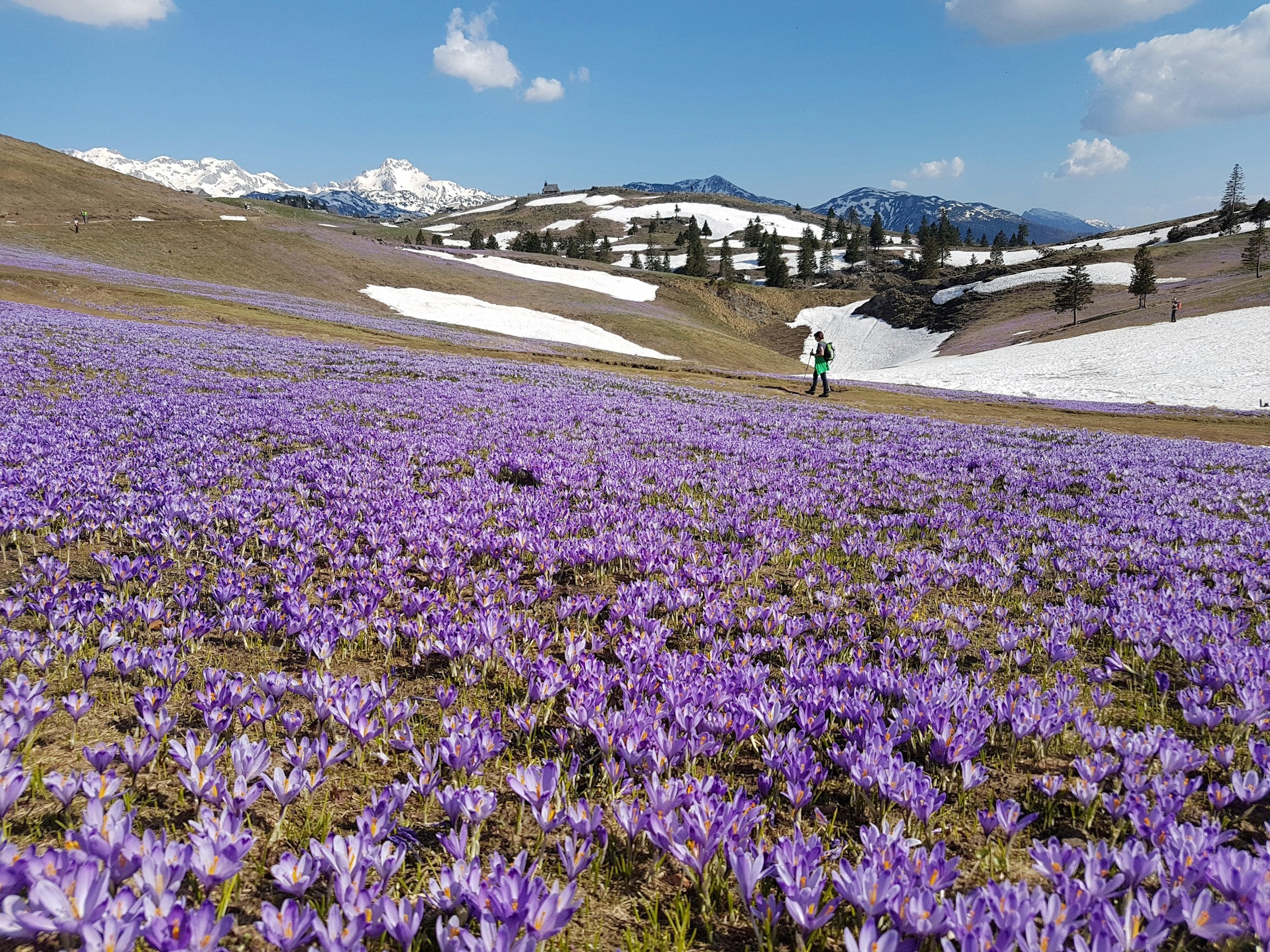 Capilla de montaña y cabañas de pastores en Velika Planina