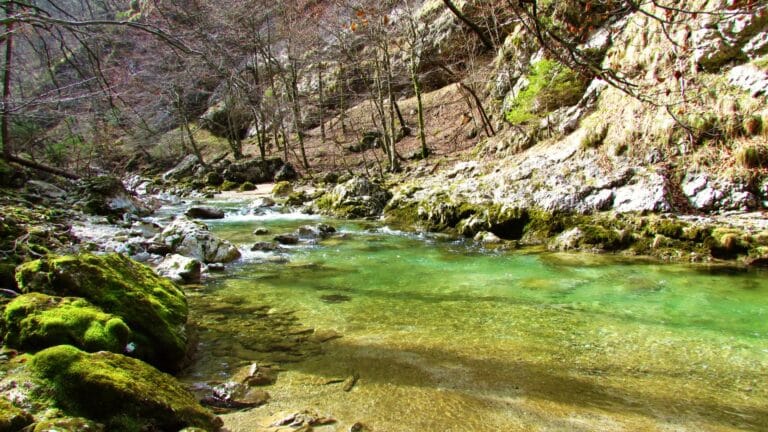The clear turquoise water of the Iška River flowing through the narrow Iški Vintgar gorge
