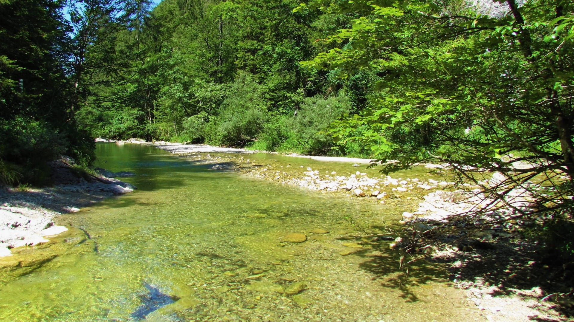 A wide, shallow bend of the Iška River inside the gorge, with gravel banks and forest on both sides