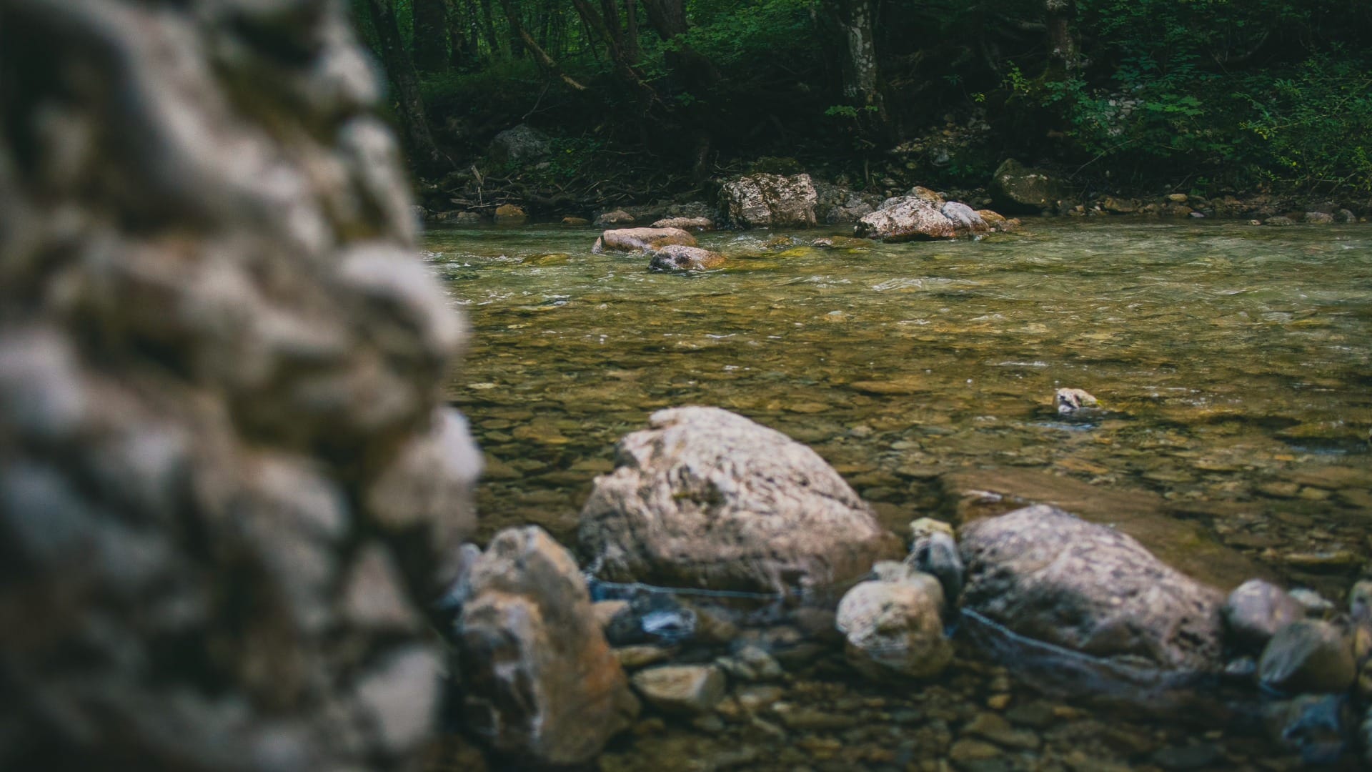 A section of the Iška River near Iška vas, with gabion baskets reinforcing the bank at the start of the trail