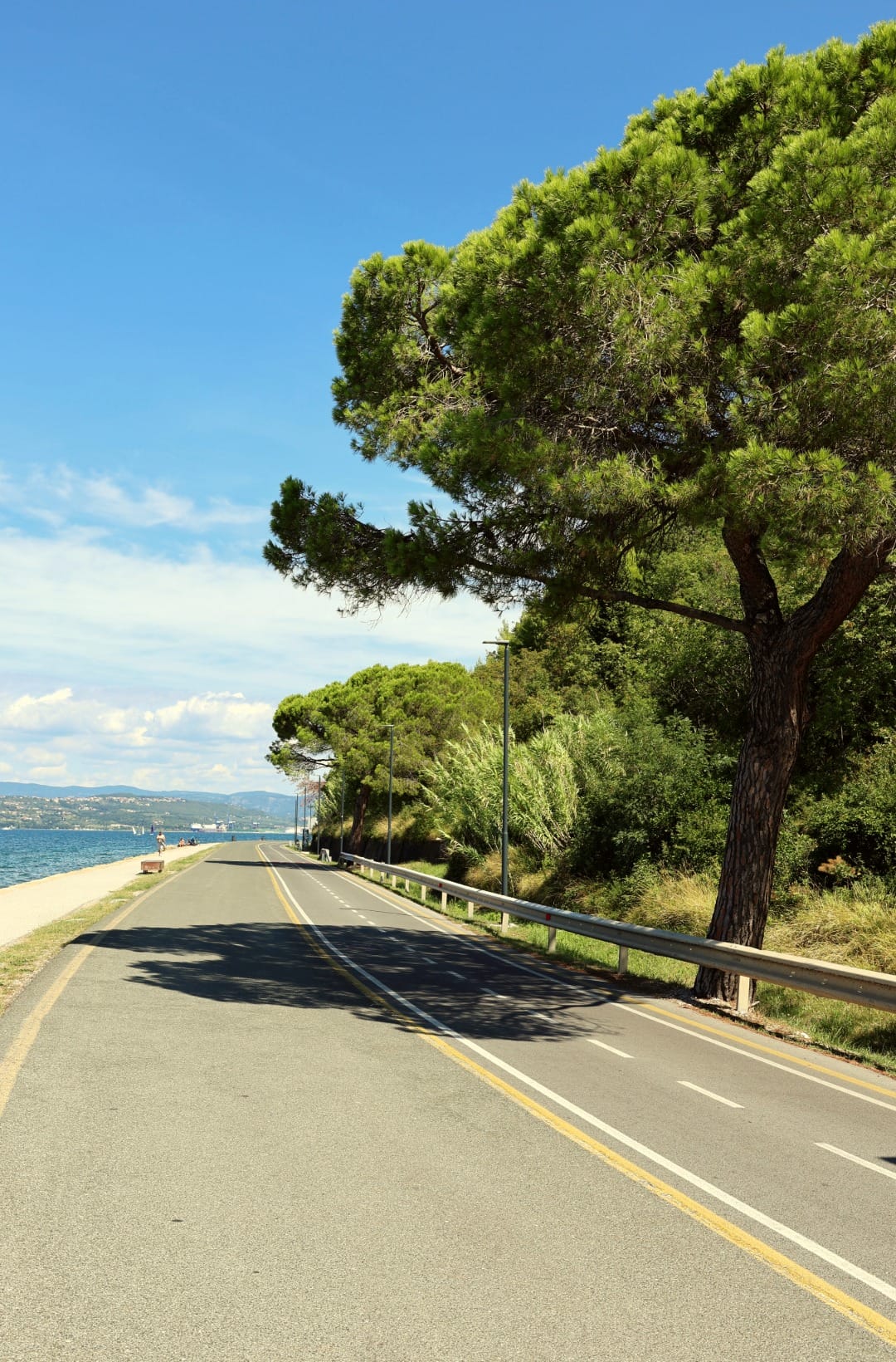 Paved coastal cycling path lined with parasol pines, the sea on one side and a guardrail on the other
