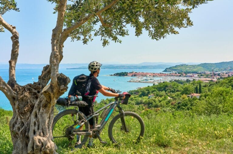 A cyclist pausing under an olive tree on a grassy slope above the Slovenian coast, looking down at Izola and the bay