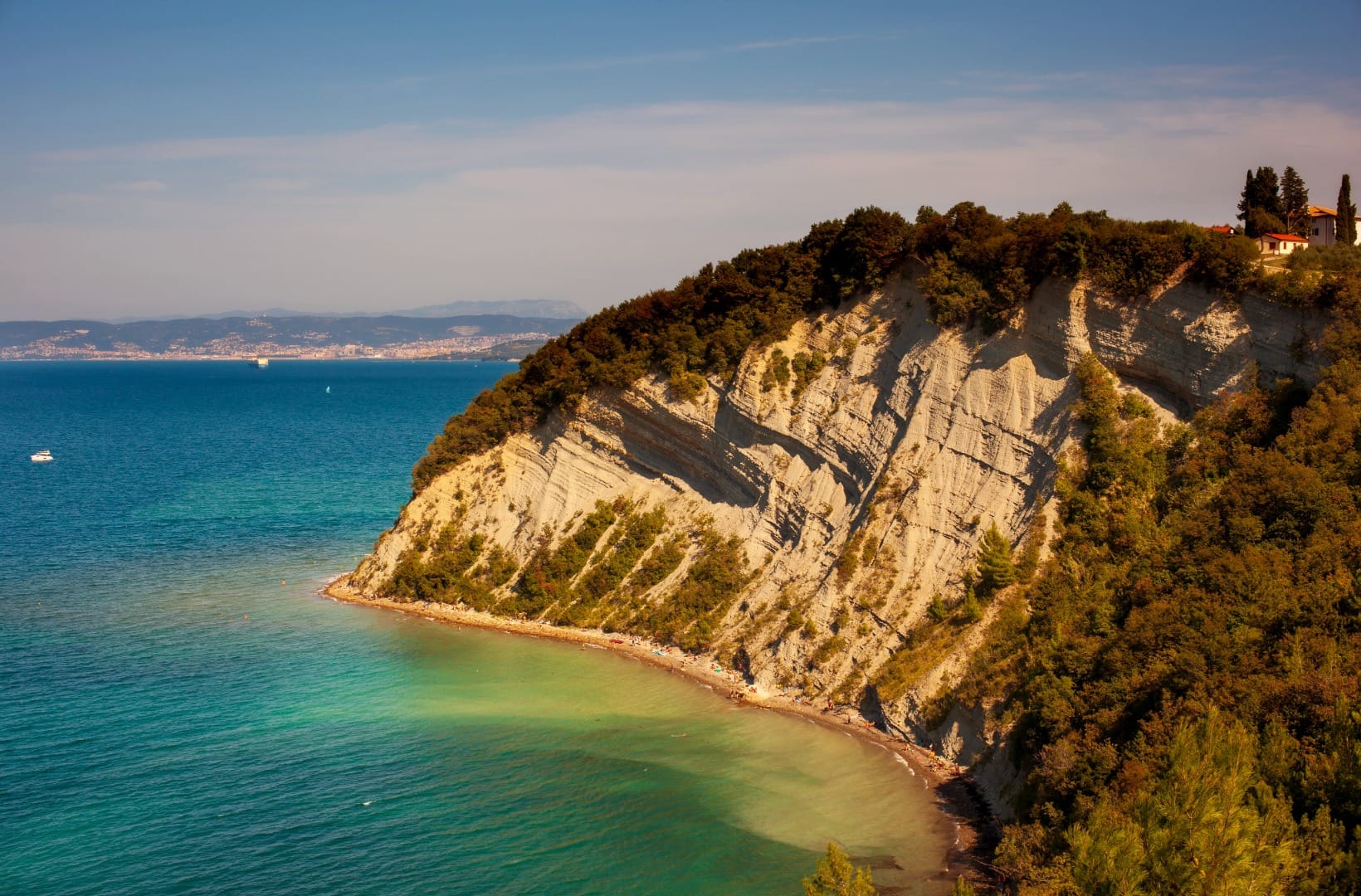 The white flysch cliff at Strunjan dropping to a curved beach at Moon Bay, with the Gulf of Trieste beyond