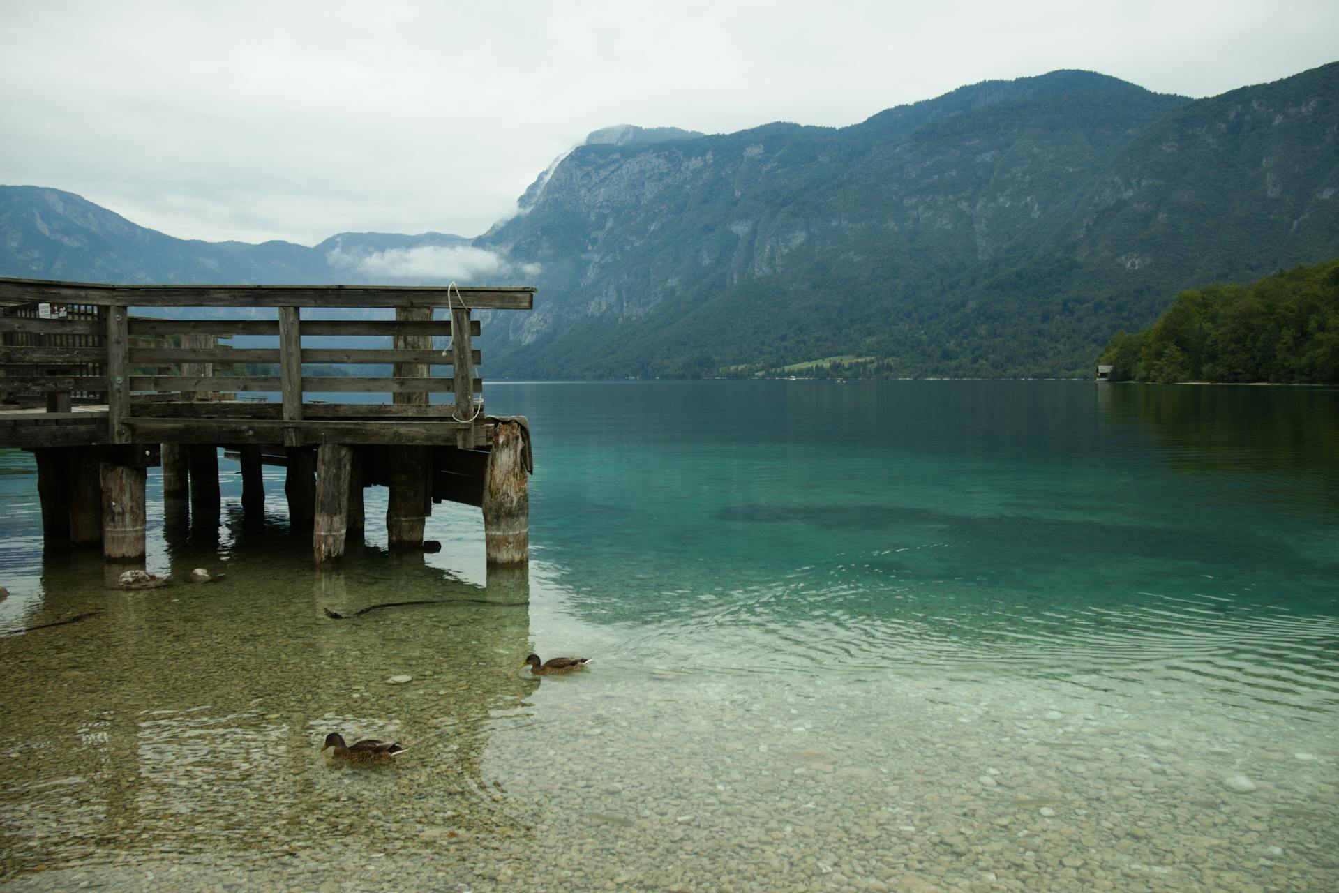 Mañana con niebla sobre el lago Bohinj