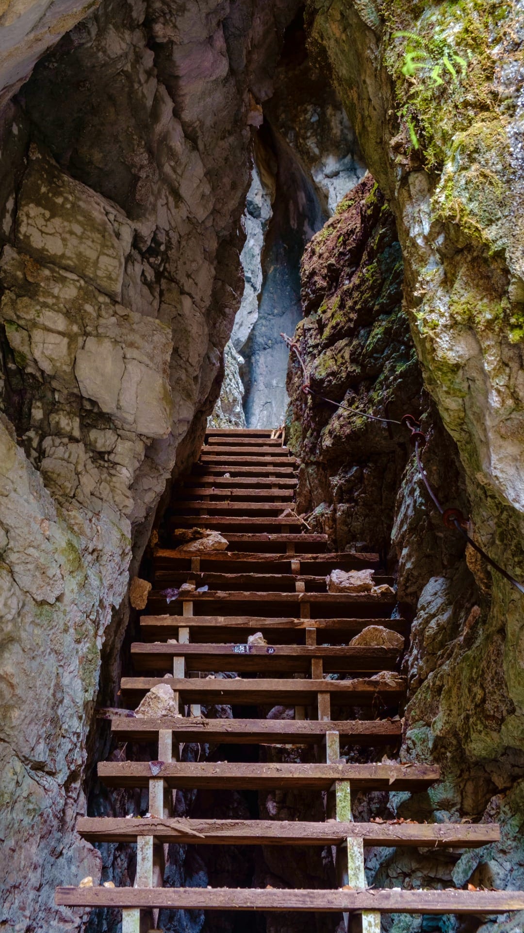 Wooden stairway climbing through a narrow rock passage in Pokljuka Gorge