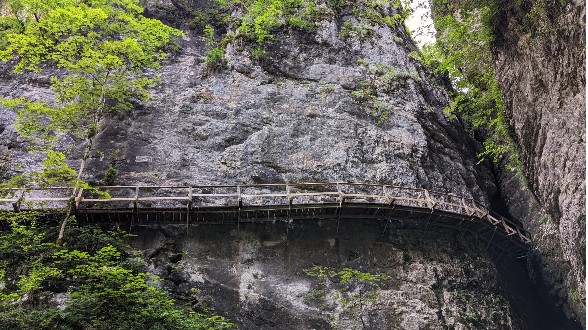 Wooden walkway bolted to the cliff wall inside Pokljuka Gorge