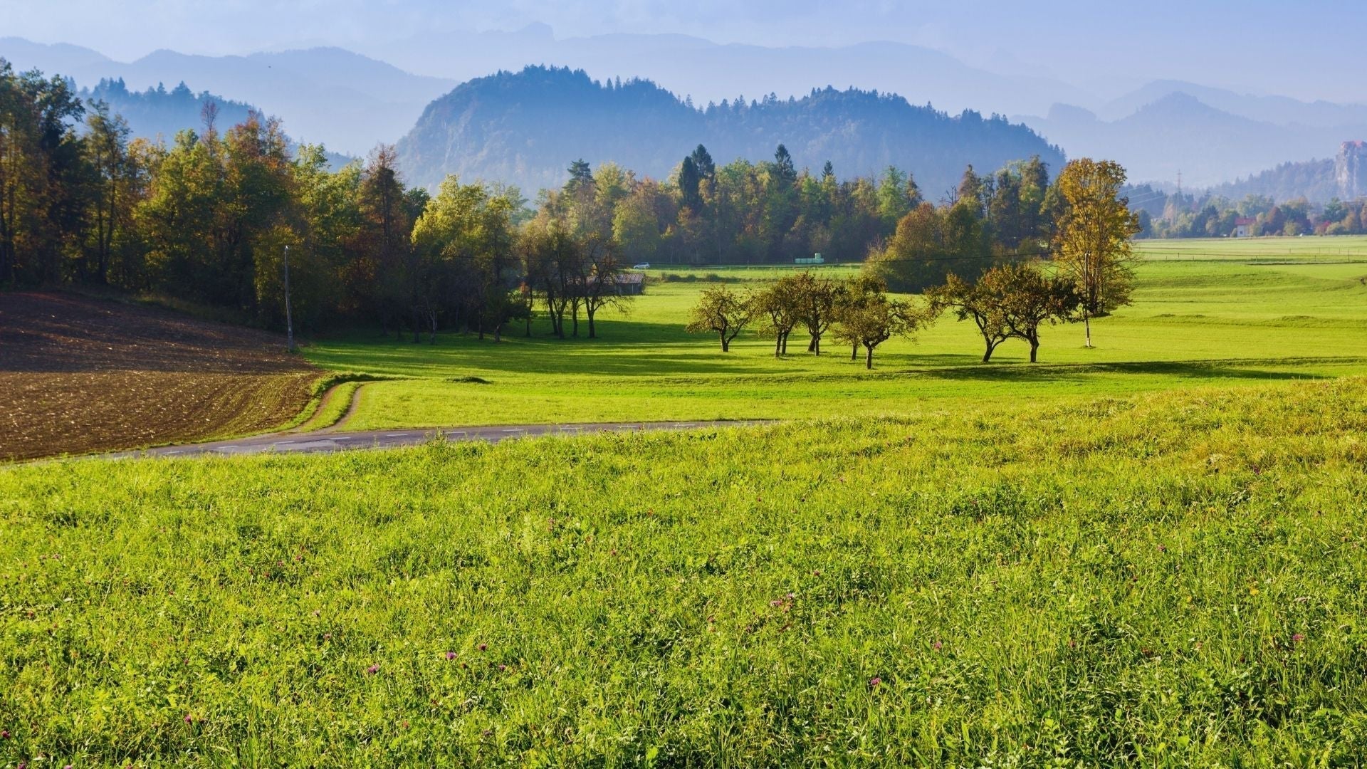 Prados de Reber — Bucle pastoral tranquilo sobre Bled