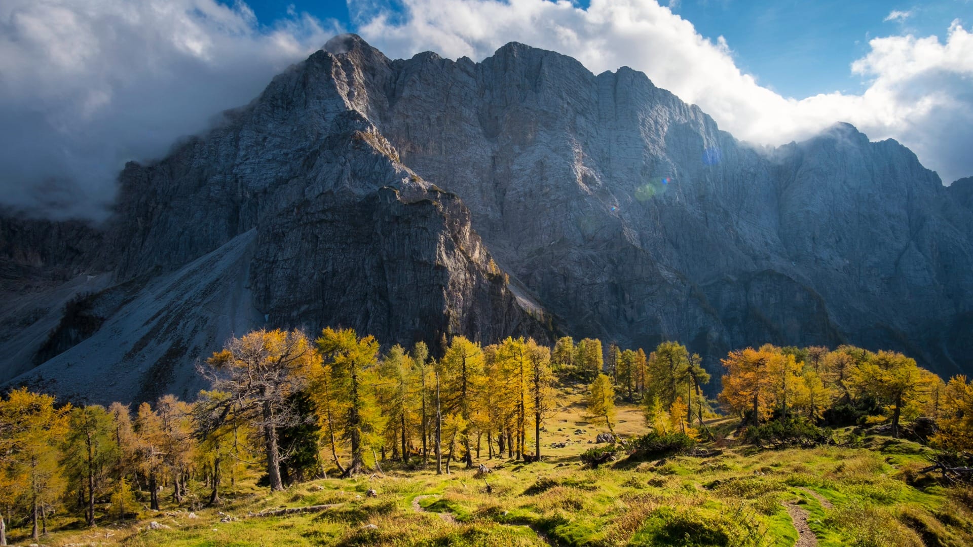 Autumn-gold larches below a rocky Julian Alps peak near the Vratca saddle