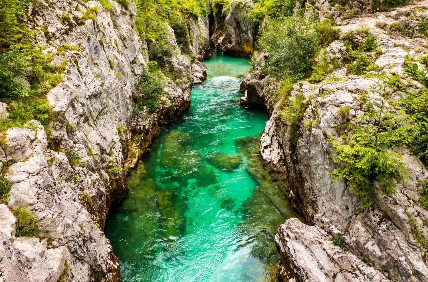 The Soča running through the narrow deep channel of the Great Soča Gorge between white limestone walls