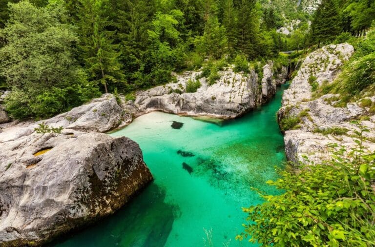 Emerald green Soča river curving between smooth white limestone slabs with forest above