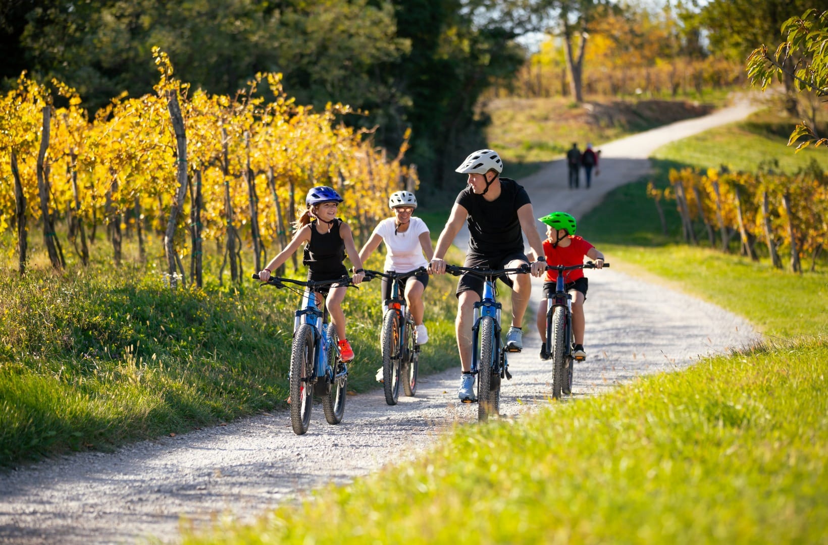 A family of four cycling on a gravel lane through autumn vineyards in the Vipava Valley