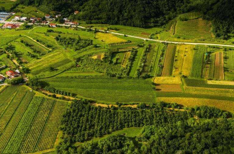 Aerial patchwork of vineyards, orchards and fields on the Vipava Valley floor