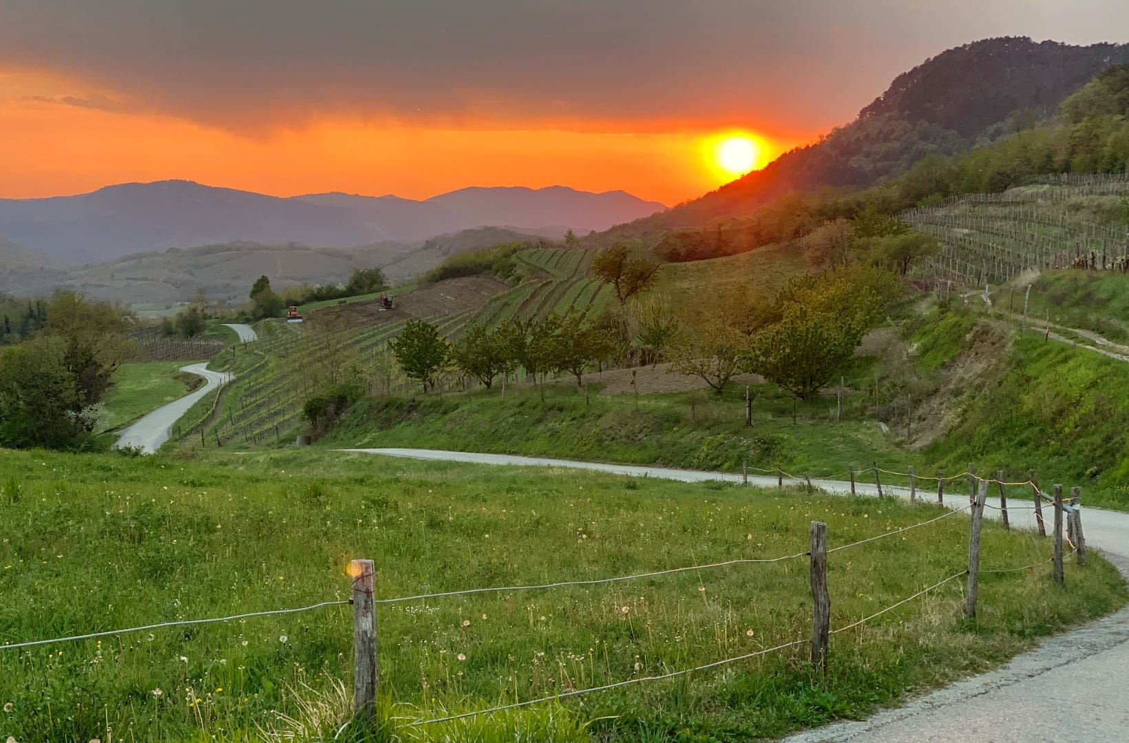 A narrow paved lane winding through vineyard hills in the Vipava Valley at sunset