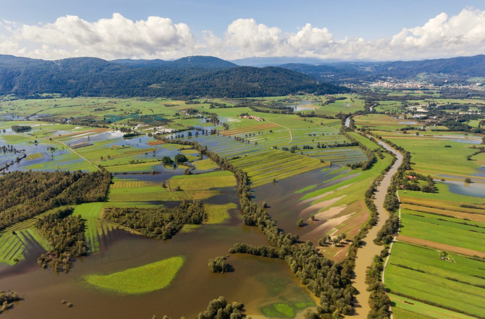 Aerial view of the Ljubljanica river meandering in a brown curve through green and flooded fields on the Ljubljana Marshes