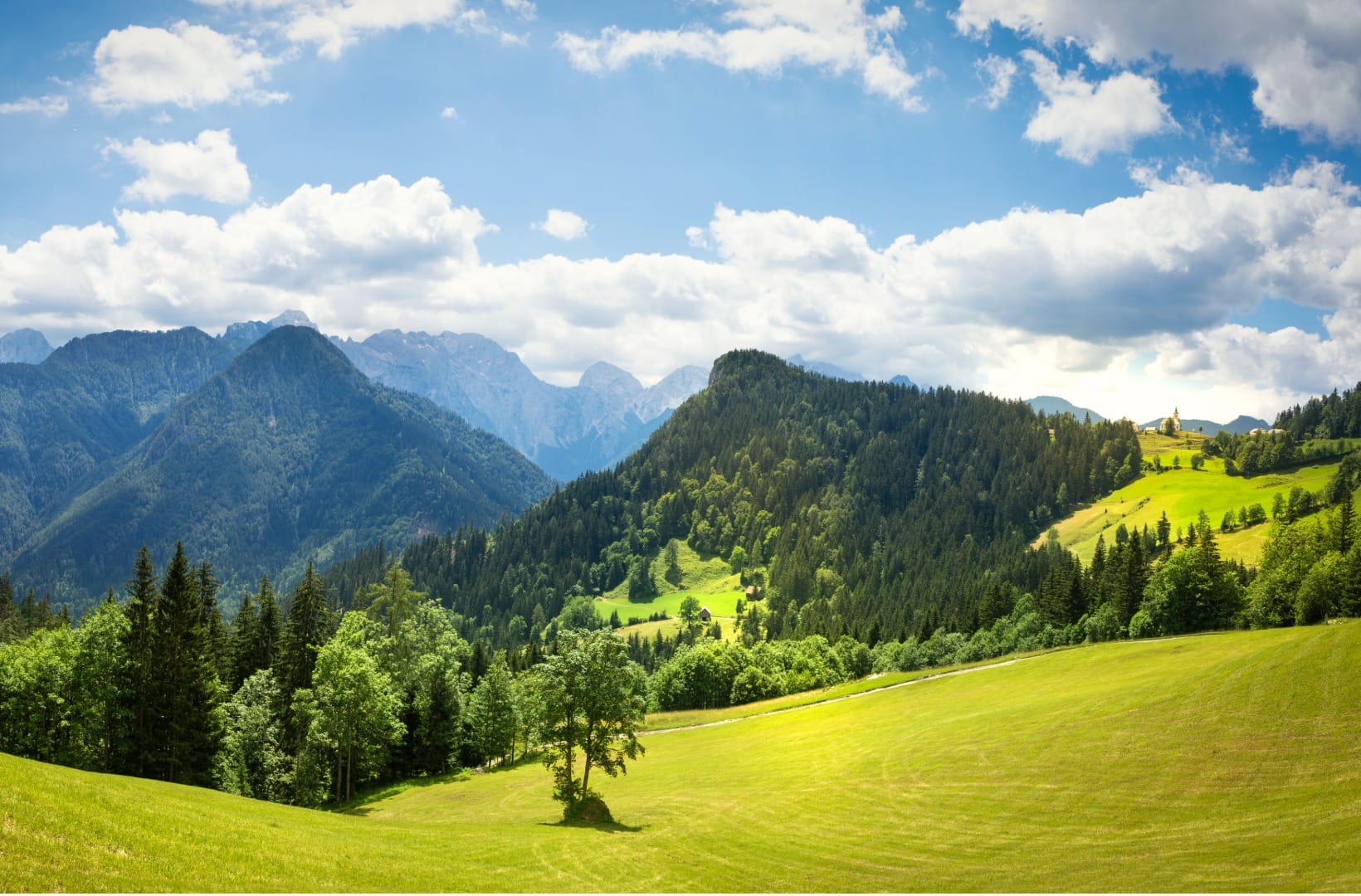 Wide pastoral panorama of the Solčavsko highland — green meadows and forested ridges with a tiny hilltop church, the Kamnik-Savinja Alps behind